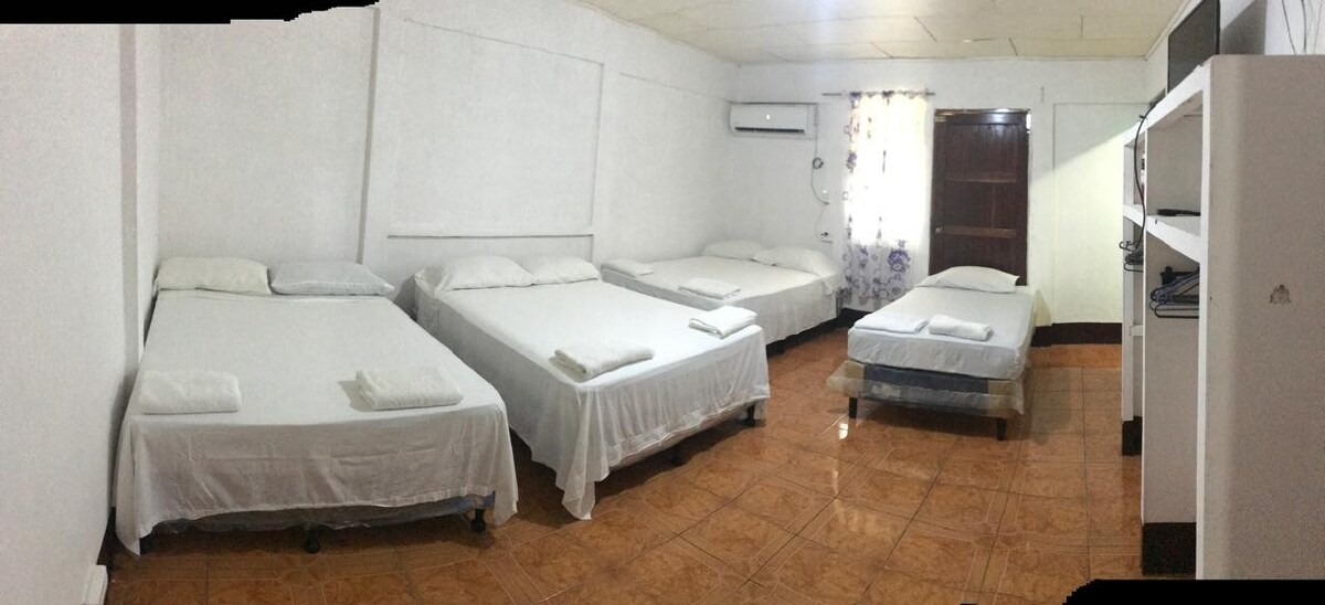 Tropical Dreams Hostel - Room 3