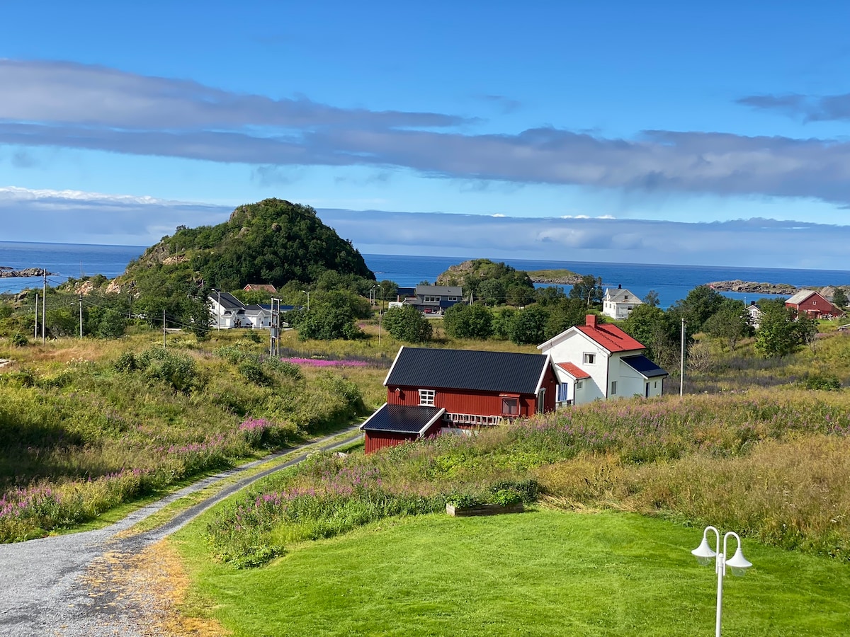 体验Lofoten和Vesterålen ，渔村的小农场