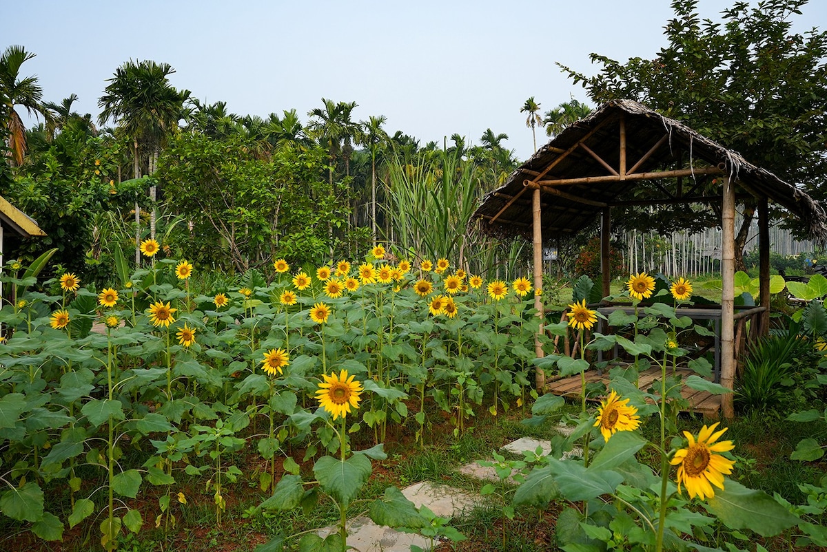 The Perfect Premium Farm Villa.