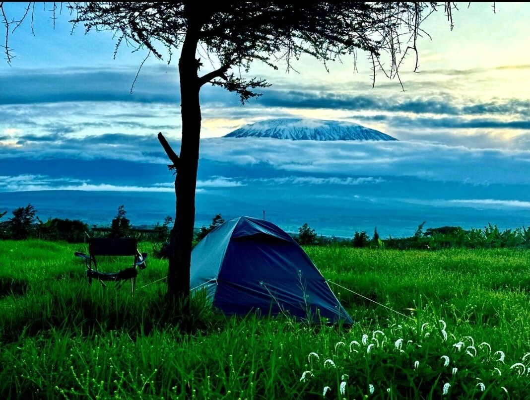 Camp David Amboseli
