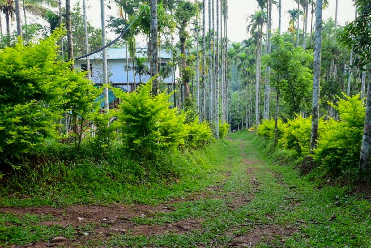 Wayanad Family AC Premium Homestay