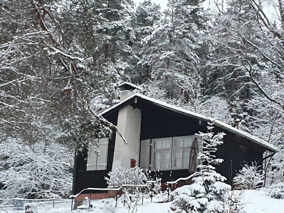 The Black Pine Hut