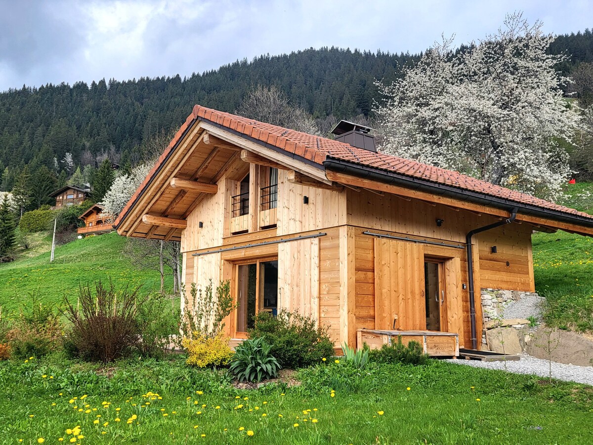 Chalet avec vue époustouflante