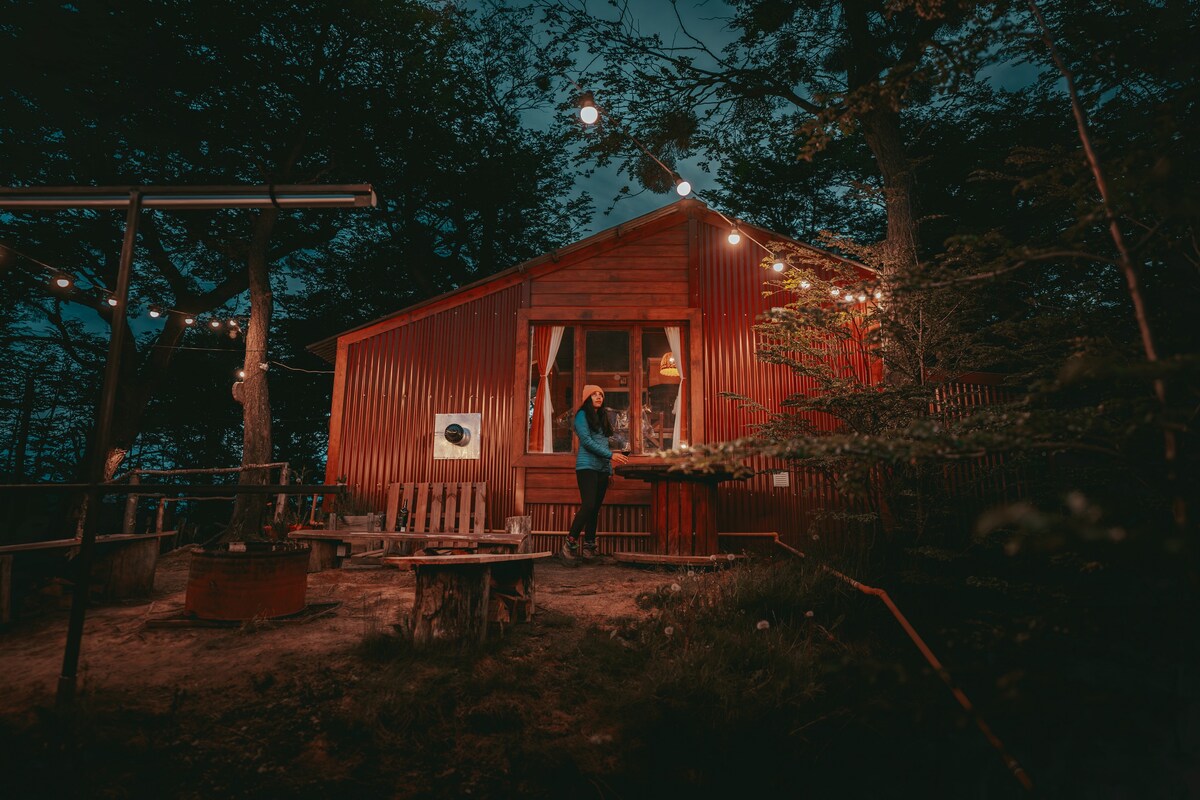 森林中的神奇小木屋，带私人电影院