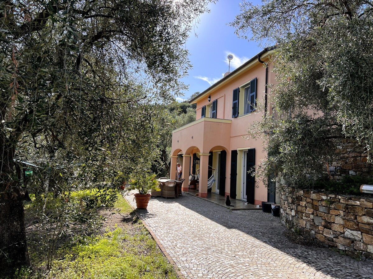schönes Landhaus im Olivenhain