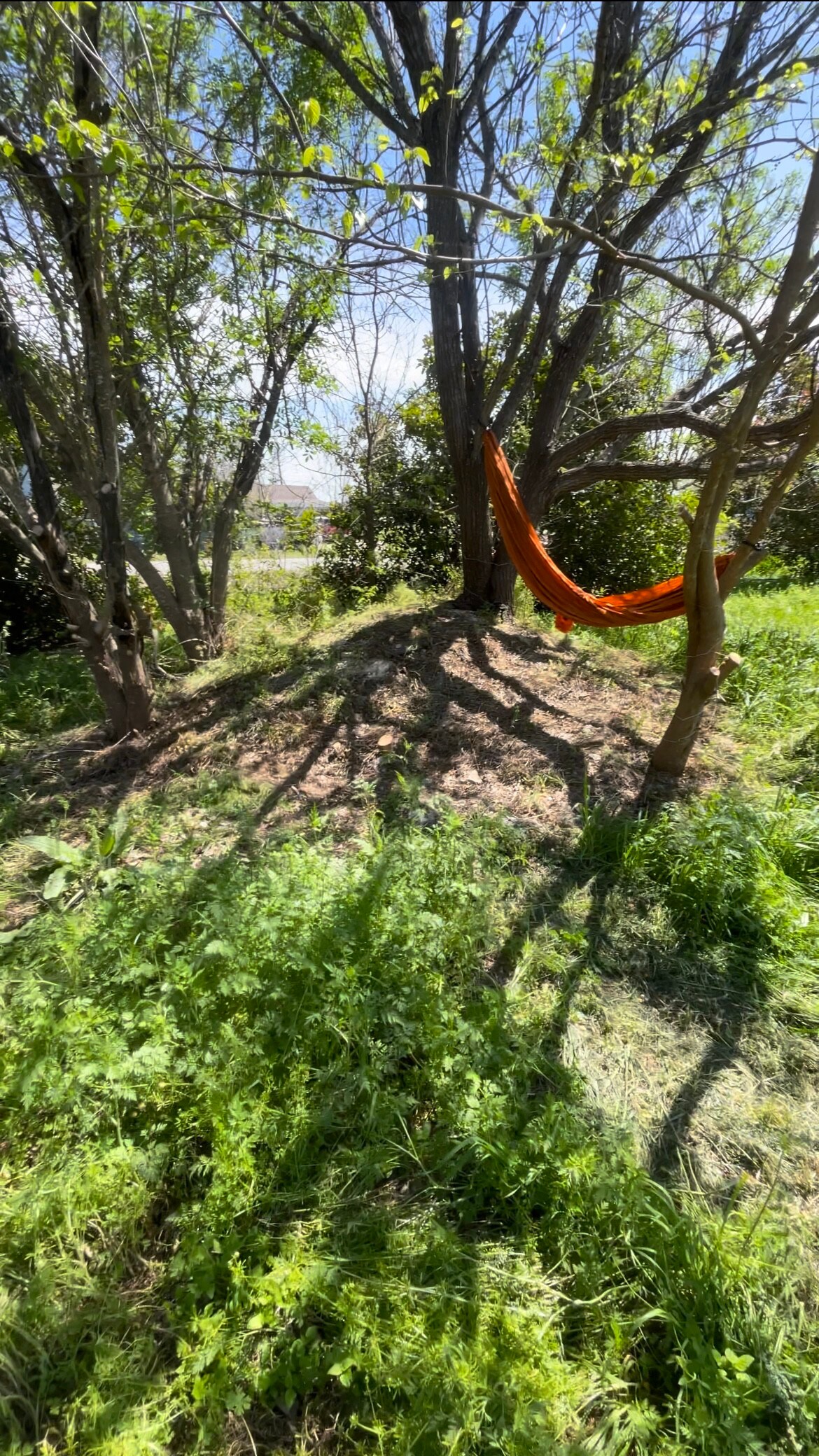 El Santuario Primitive Camp Grounds