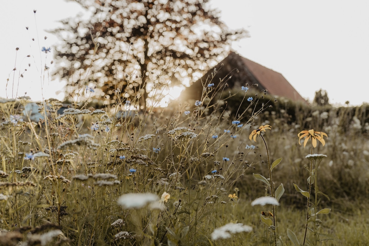 Glamping met hottub — rust en ruimte in de natuur!