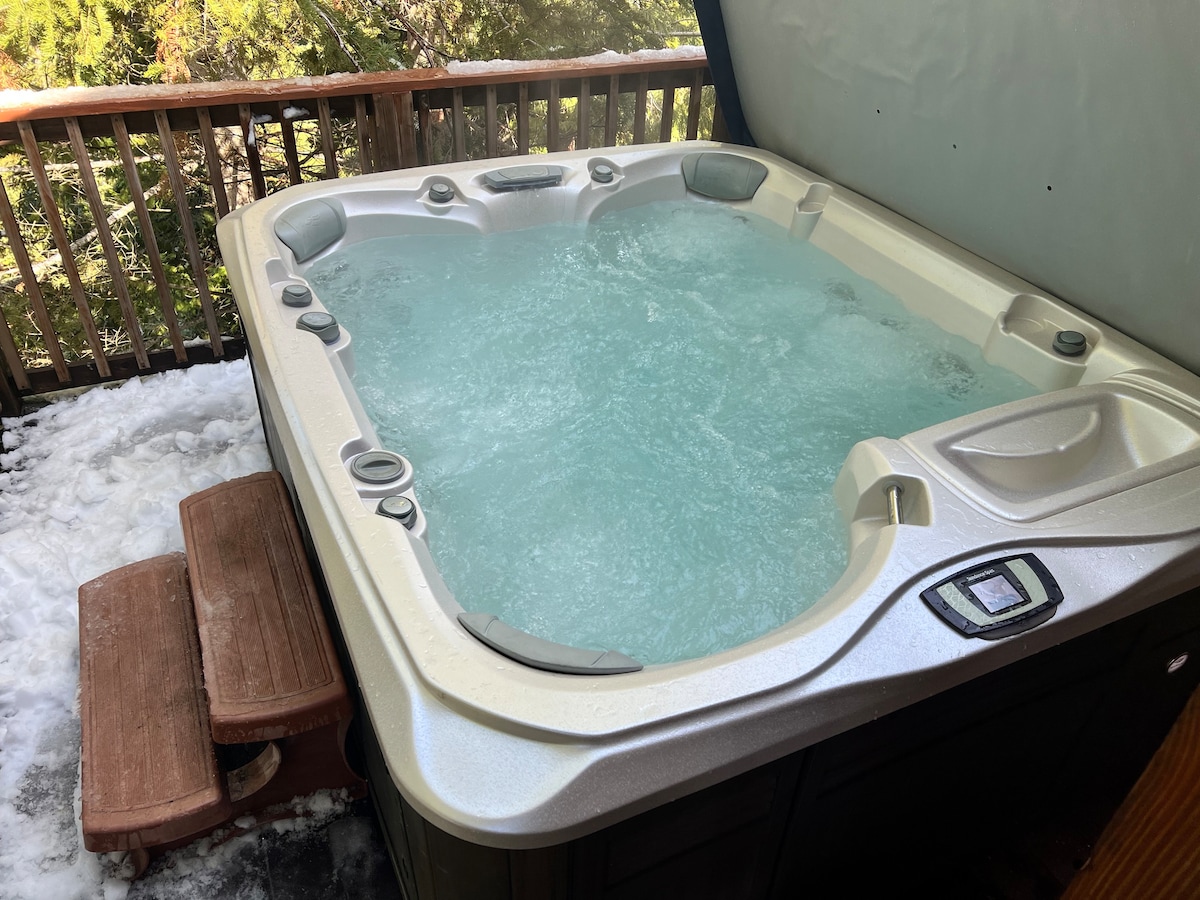 Shaver Luxury Dream Cabin Incredible View AND SPA