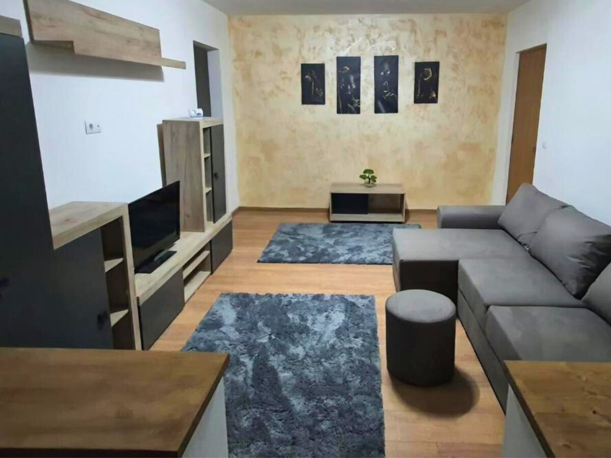 Apartament Central