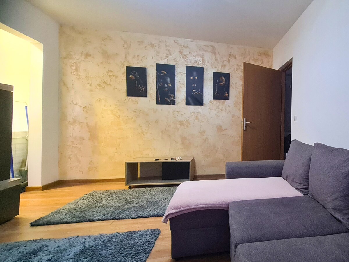 Apartament Central