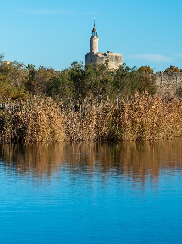 La Petite Camargue