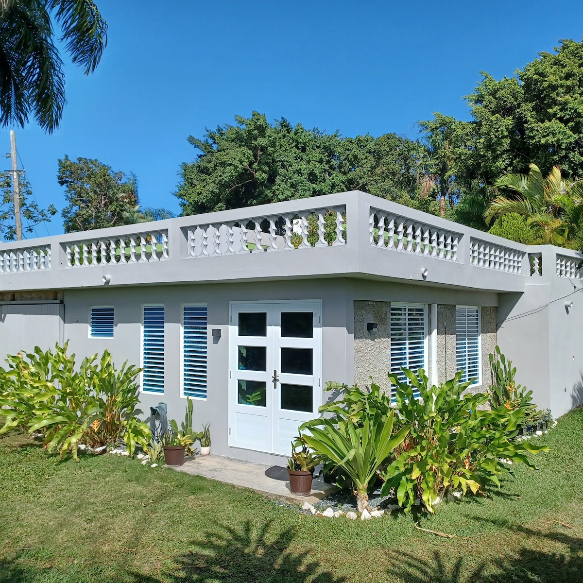 Mini-Suite on Cacao Farm