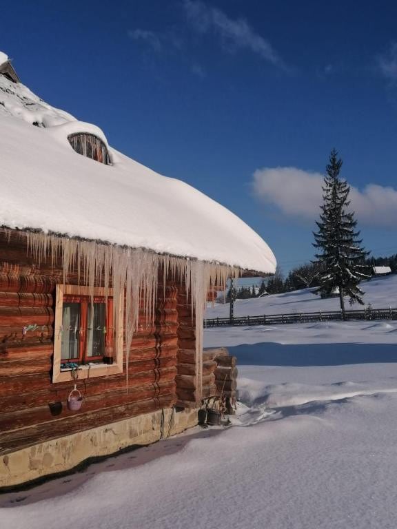 Cabana Păstrăvului