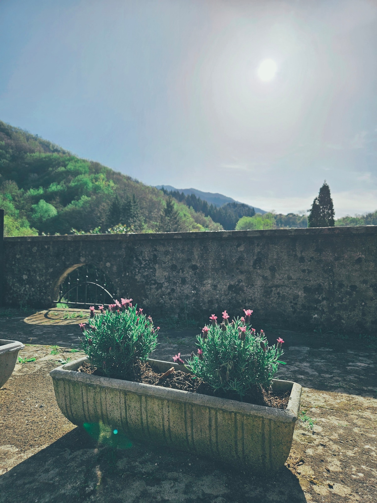 Casa di Marco, Stonehouse Tuscany Liguria