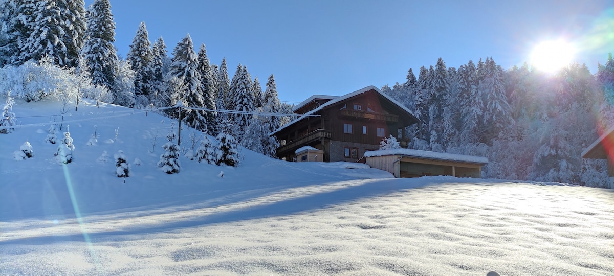 Ferienhaus am Berg-FeWo Edelweiss (DG)