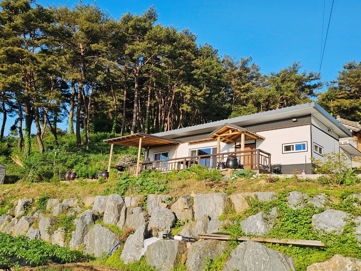 <솔 숲 산> 충북 단양 (소백산 전경 독채)  "소나무 숲에서 산을 바라보는 집"