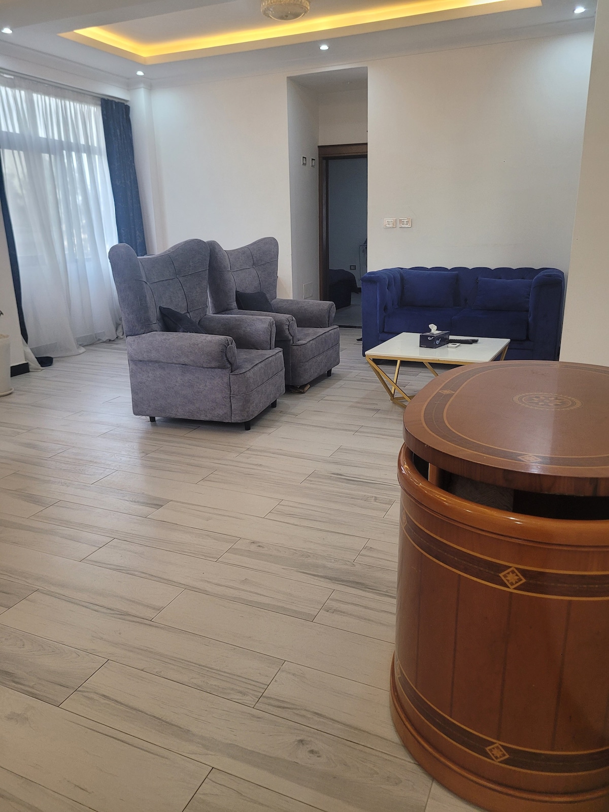 fully furnished apartment at center bole olompya