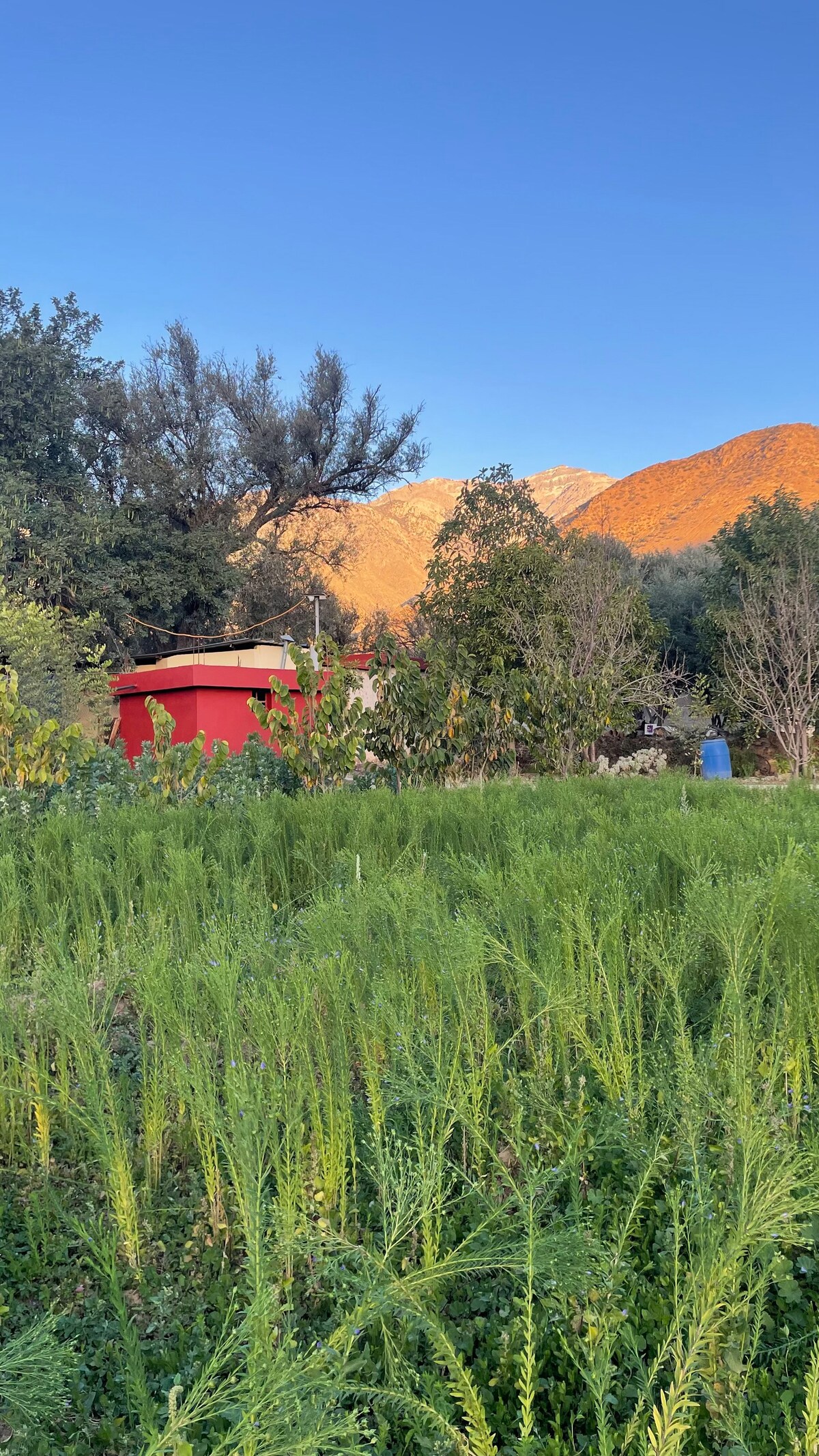 Atlasunsea séjour chez l’habitant dans l’Atlas