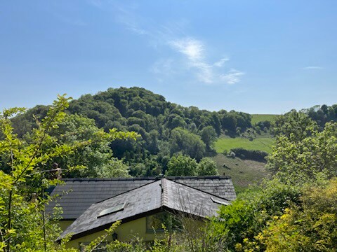 Idyllic cottage in the Forest of Dean