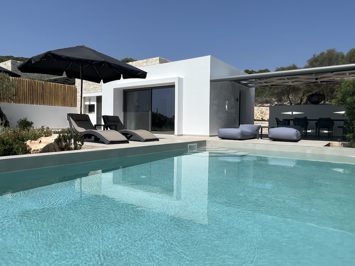 New, luxurious villa with pool - Mesogi villa L