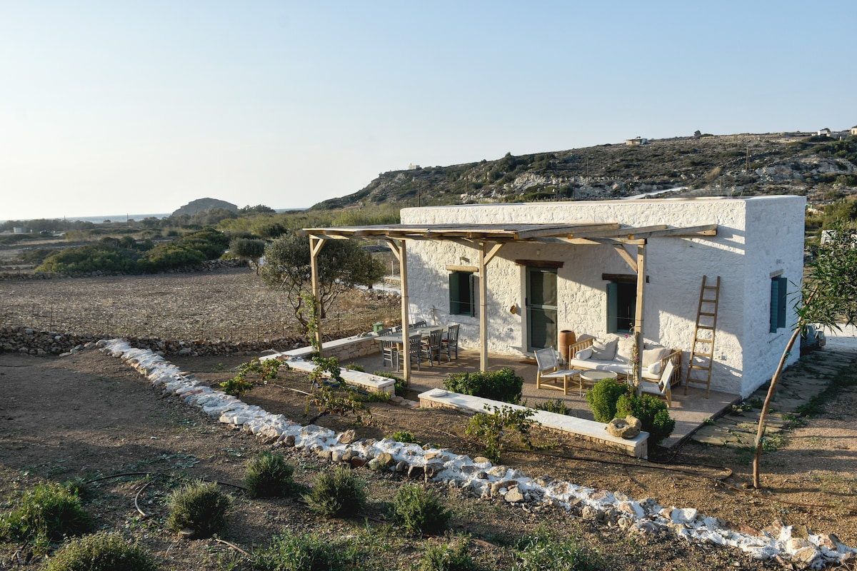 Eco Stone House