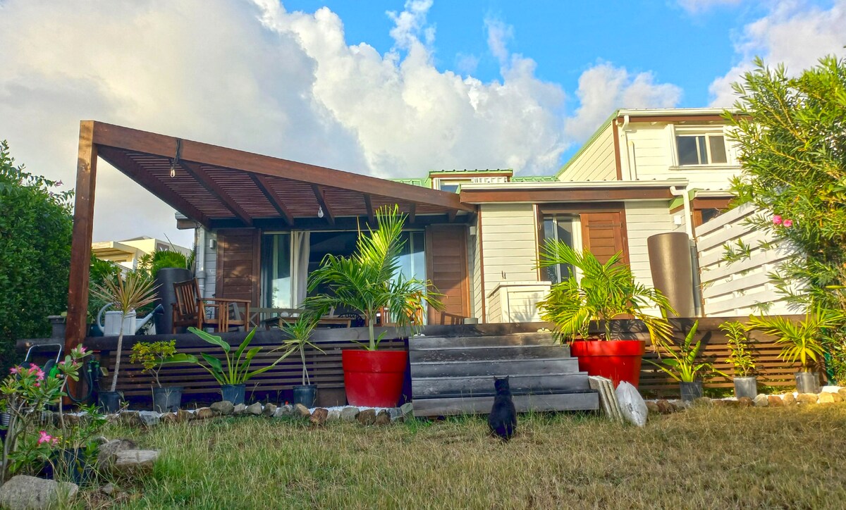 Maison avec terrasse et jardin, vue mer face Pinel