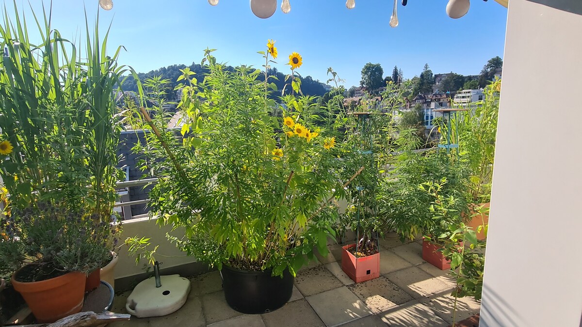 Dachgeschosswohnung mit Balkon, Luzern