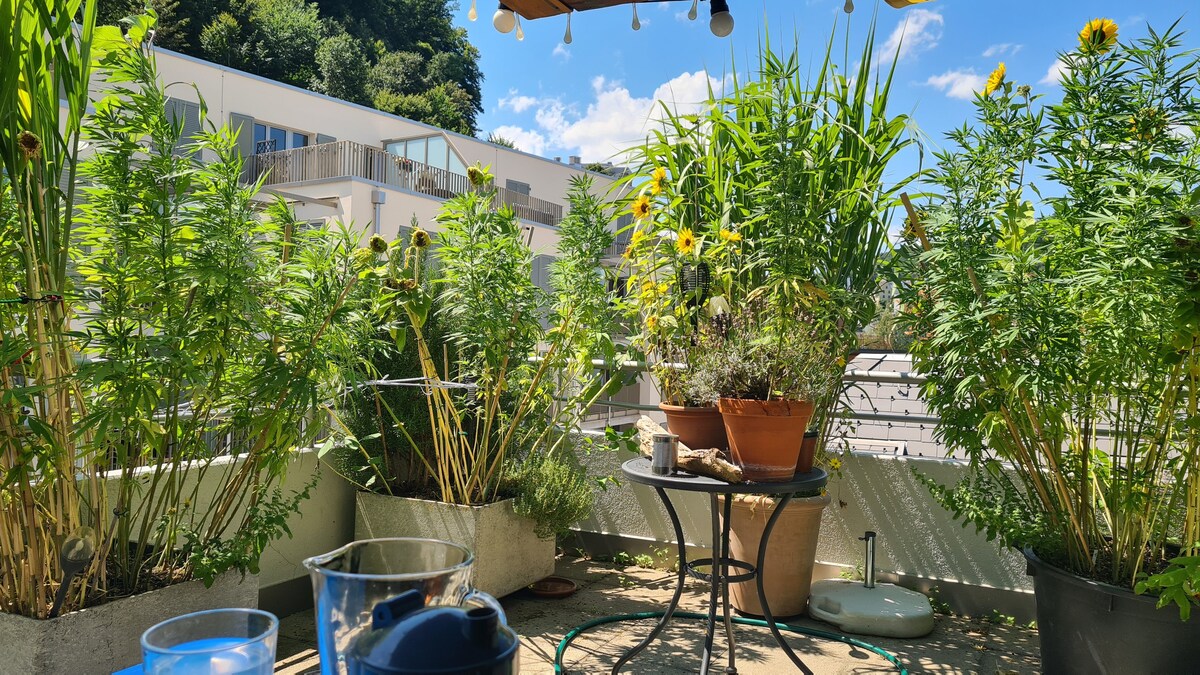 Dachgeschosswohnung mit Balkon, Luzern