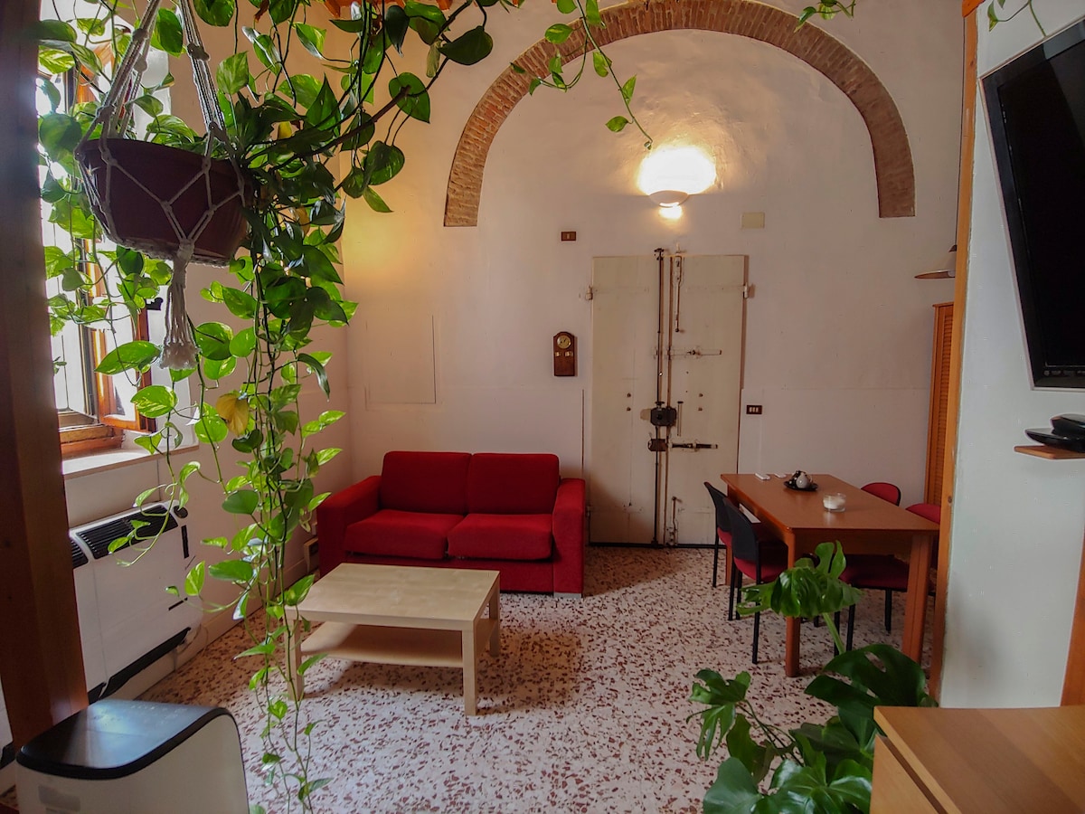 Loft Rustico