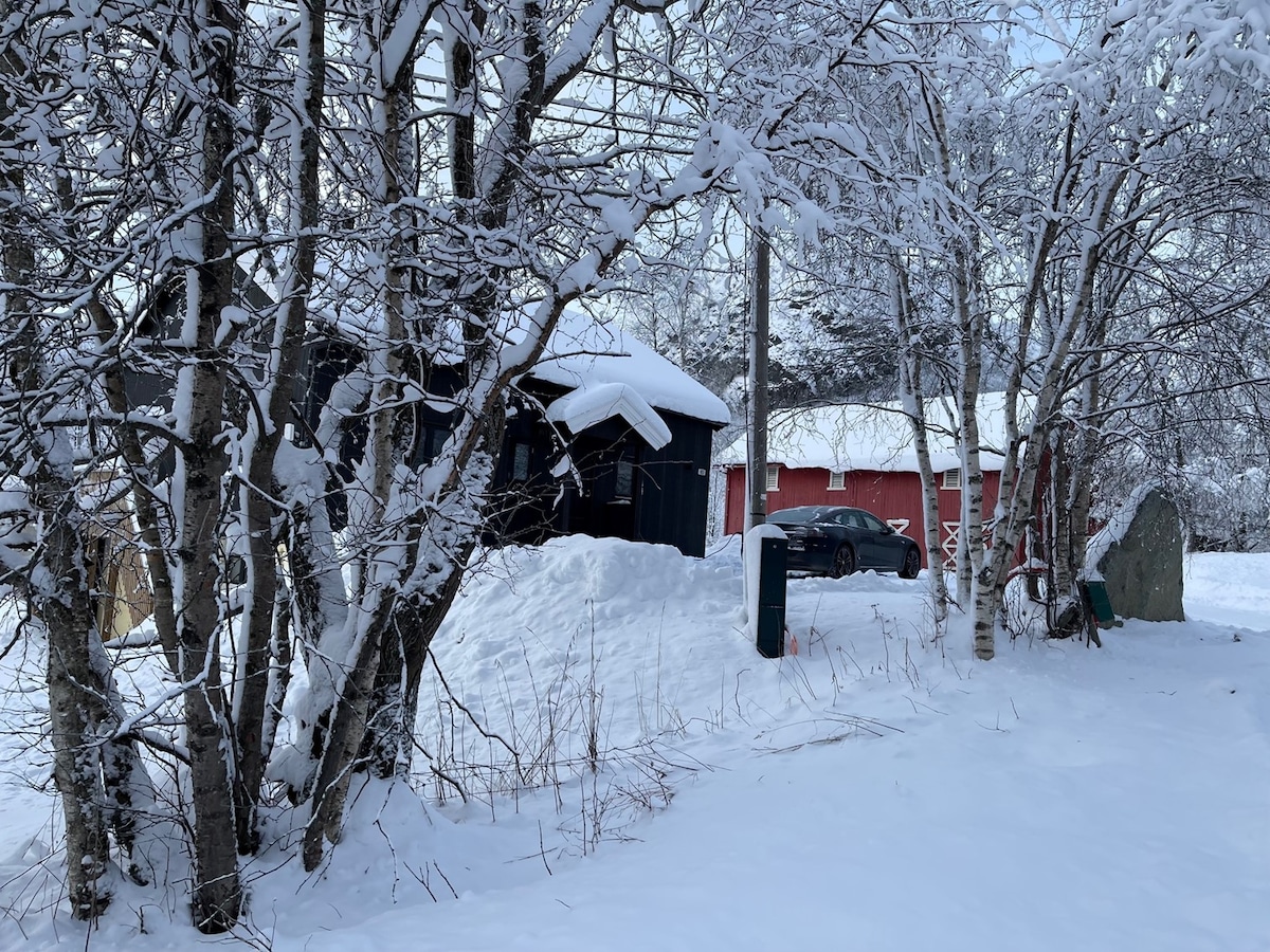 Stor, moderne hytte i Hemsedal