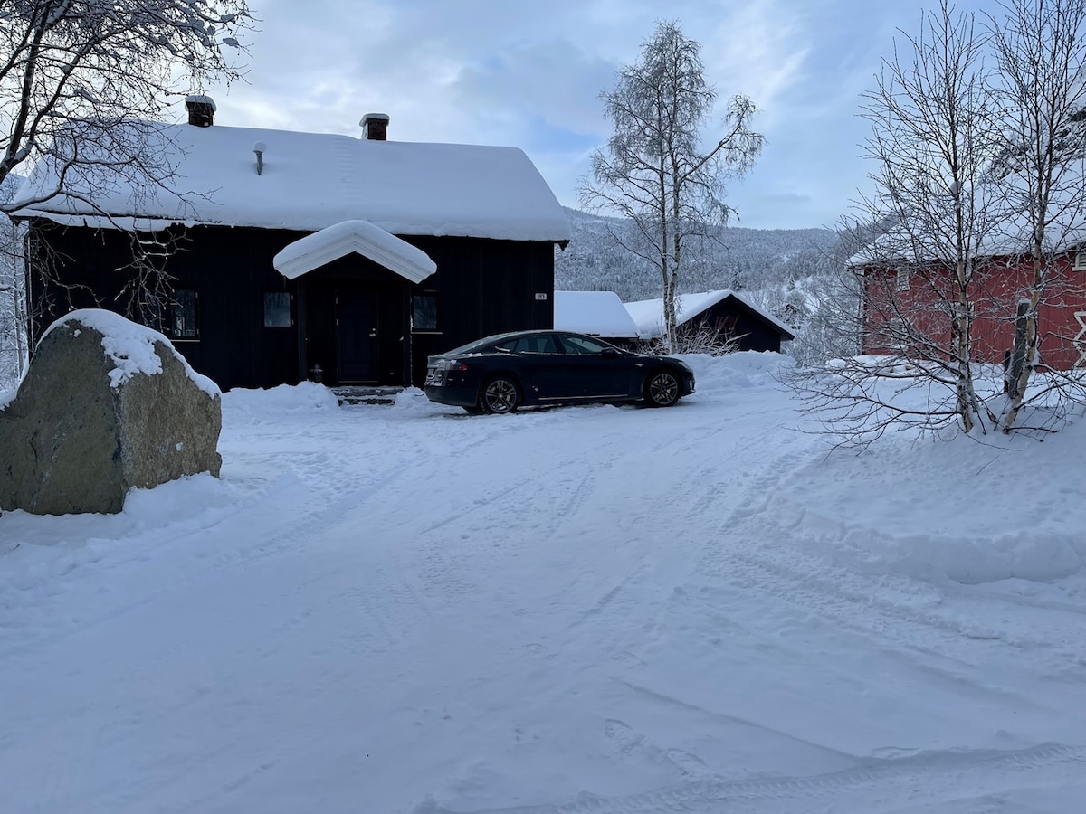 Stor, moderne hytte i Hemsedal