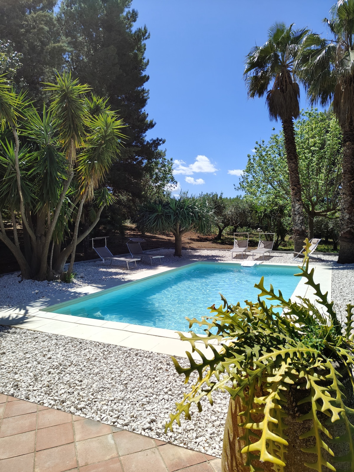 Cleo Villa Siciliana: villa con piscina vista mare