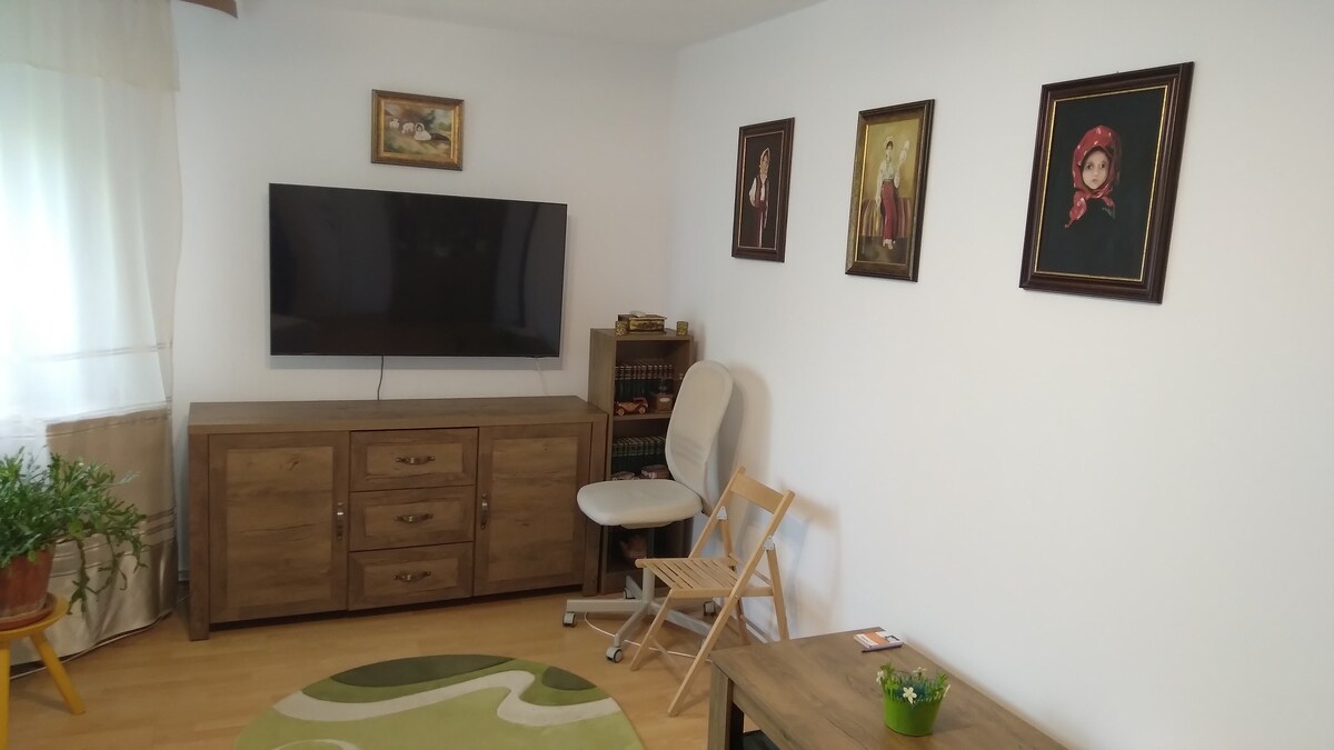 Apartament confortabil