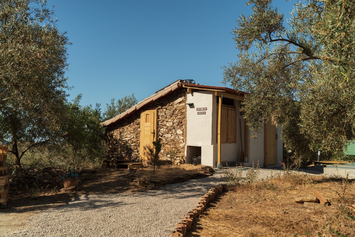 La Polifinca (2) casa del pastor, like a shepherd