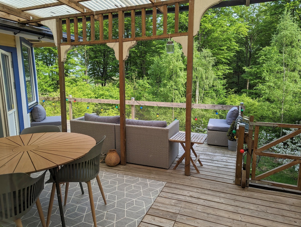 Charming pet-friendly forest retreat