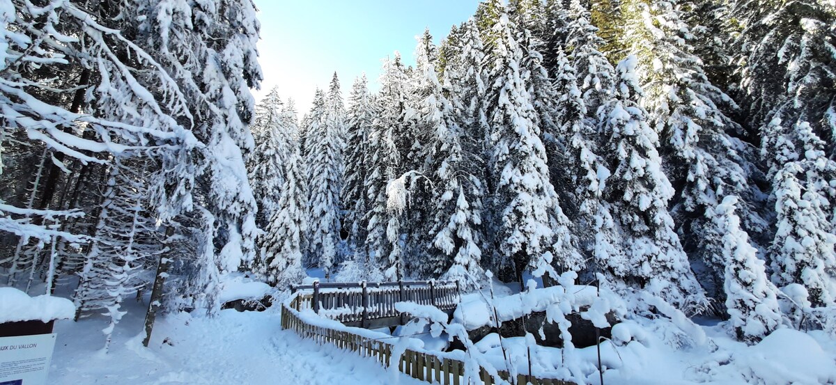 T2 cosy au pieds des pistes Valfréjus