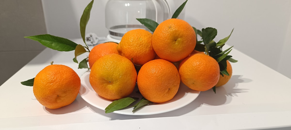 Citrus Serenity Villas - "Clementine"