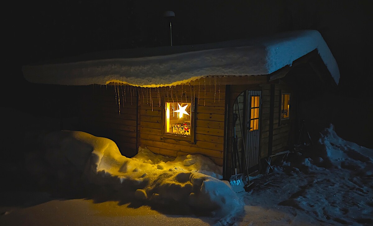 Lapland Snow Fox, cozy log cabin