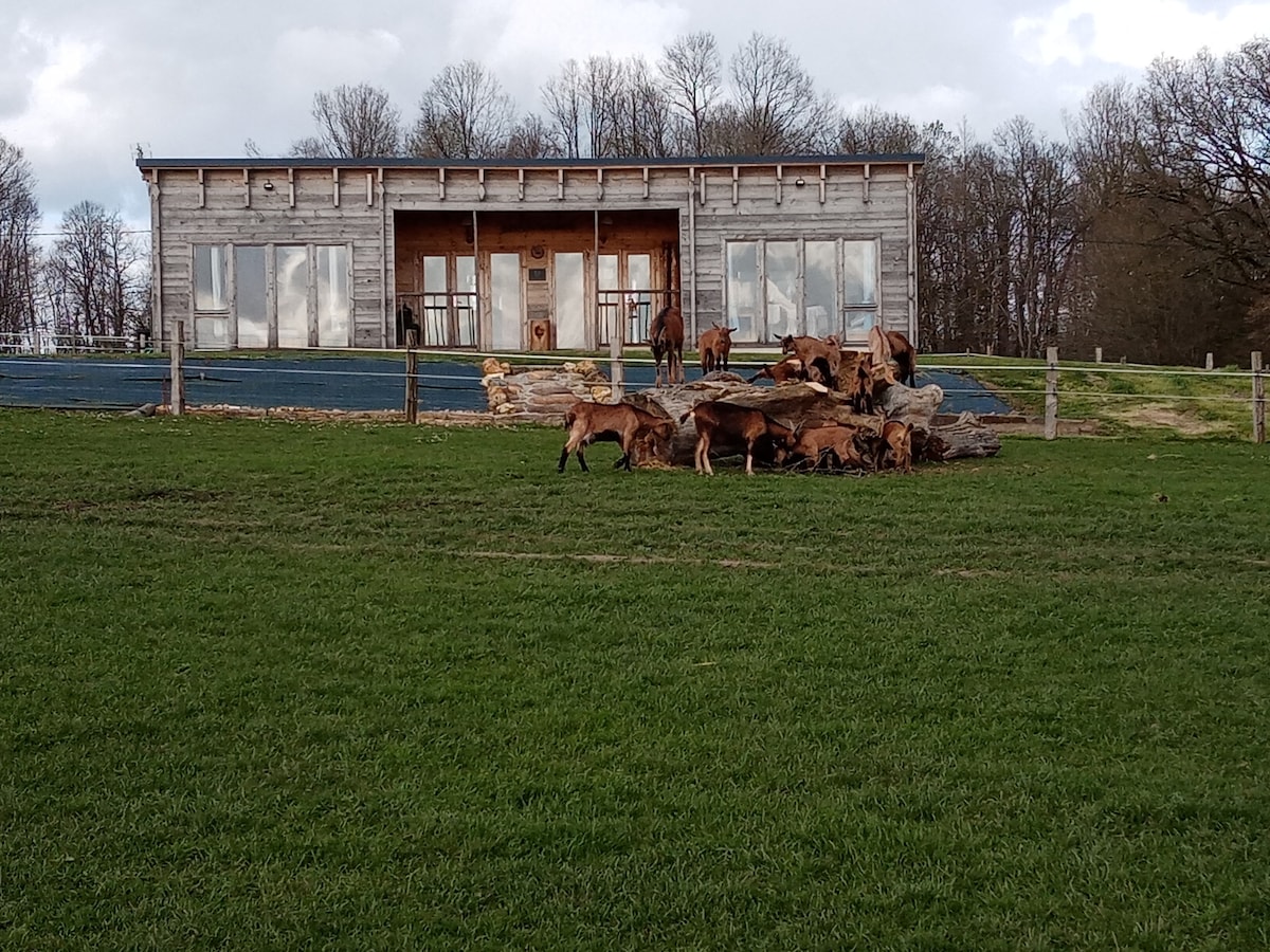 Charmant chalet au milieu des chèvres