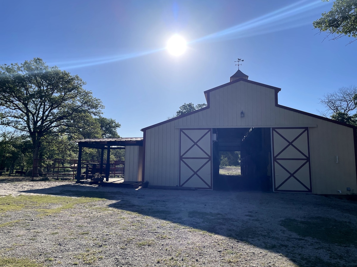 Side Eye Ranch - Horse Hotel