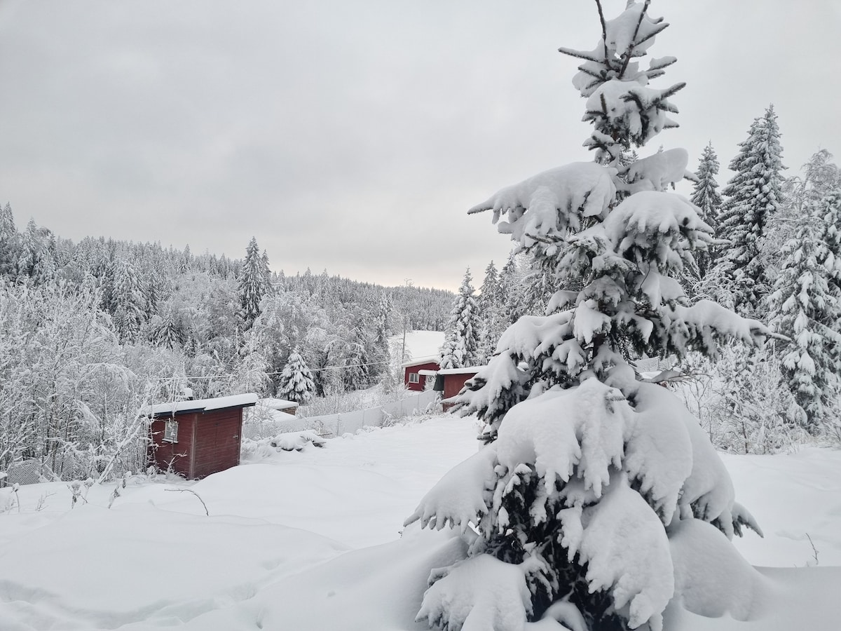 Supercozy cabin in the midle of the forrest.