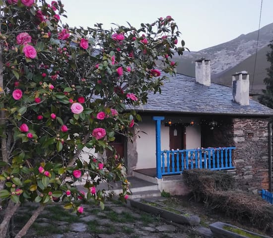 San Martín del Valledor的民宿