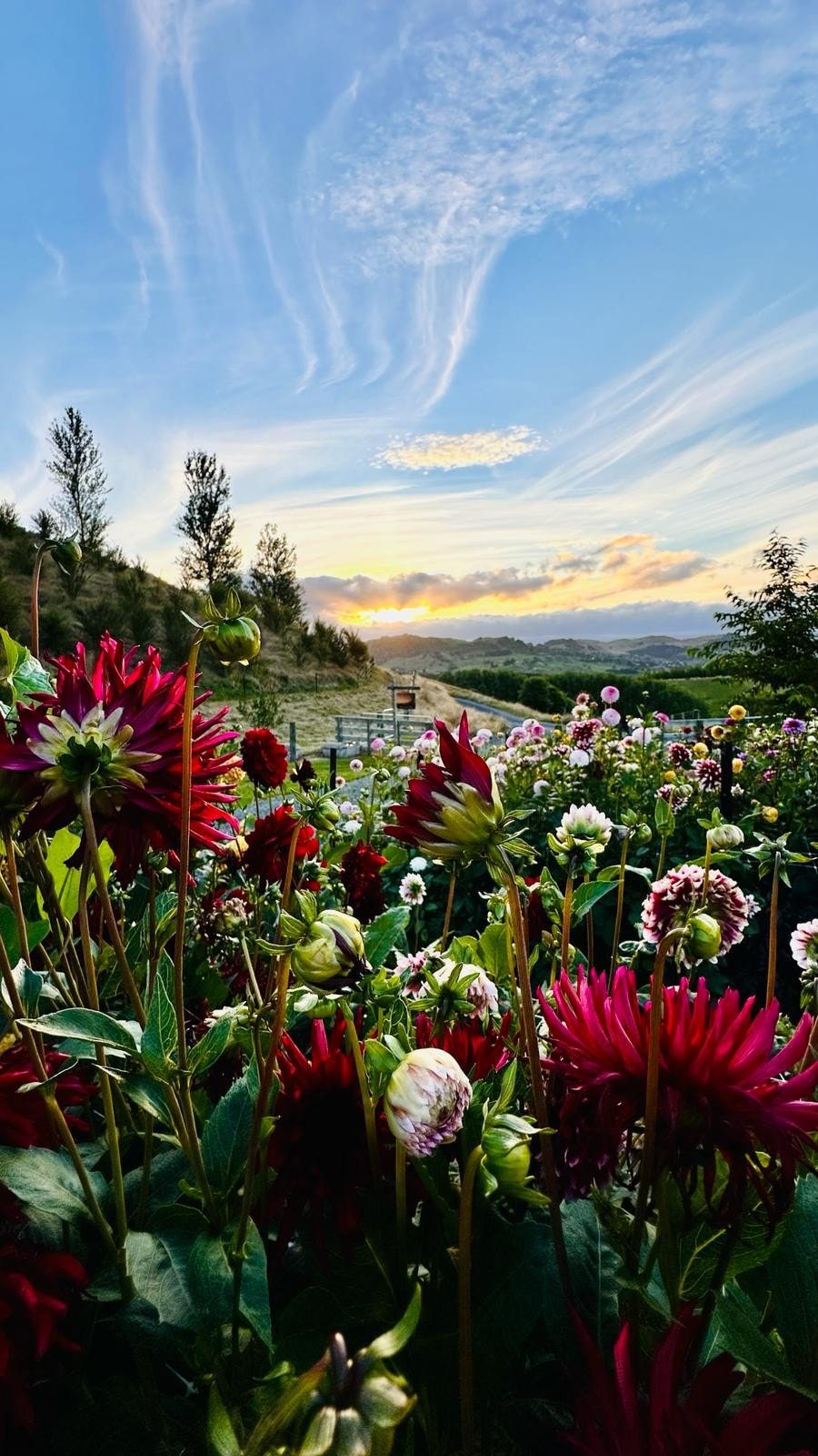 Painted Skies - Country Guest House