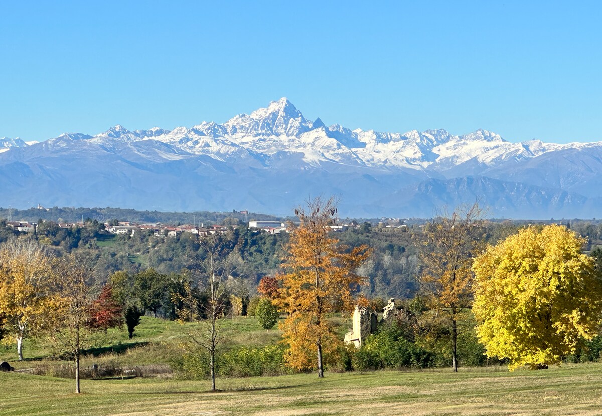 Just Langhe Casa Barolo