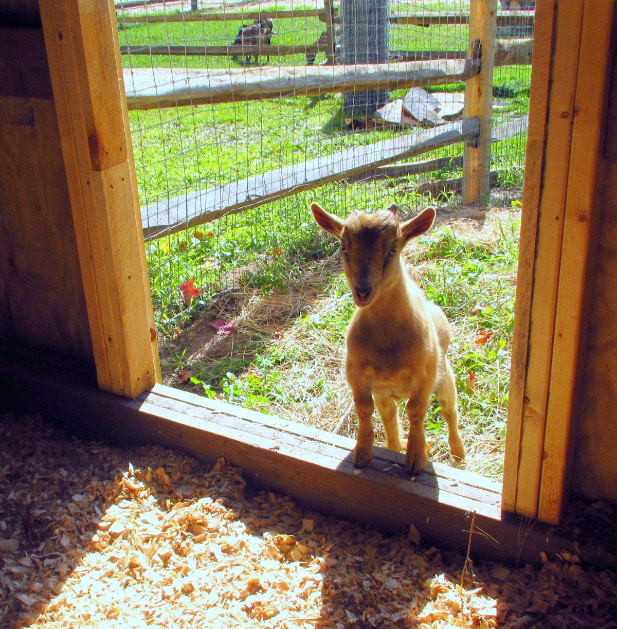 The Meadows at Kimstead Farm