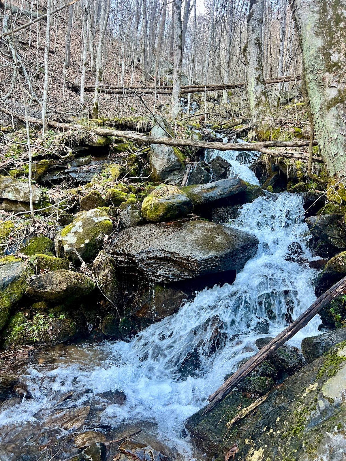 School's Out Sale! Cozy Cabin w/ Private Waterfall