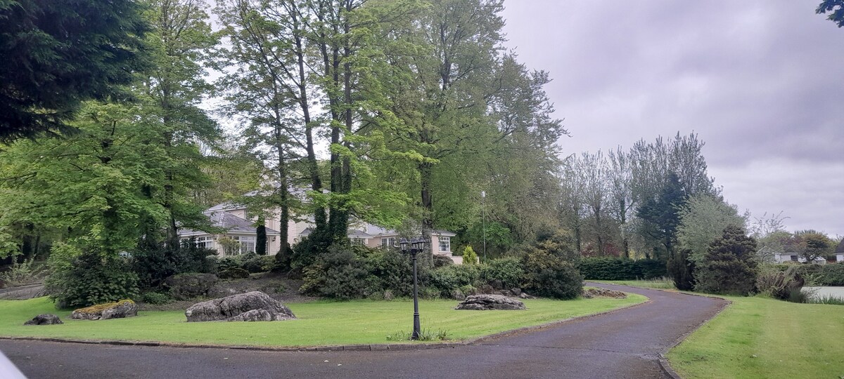 Lakeside view, Bunratty Castle & Shannon Airport