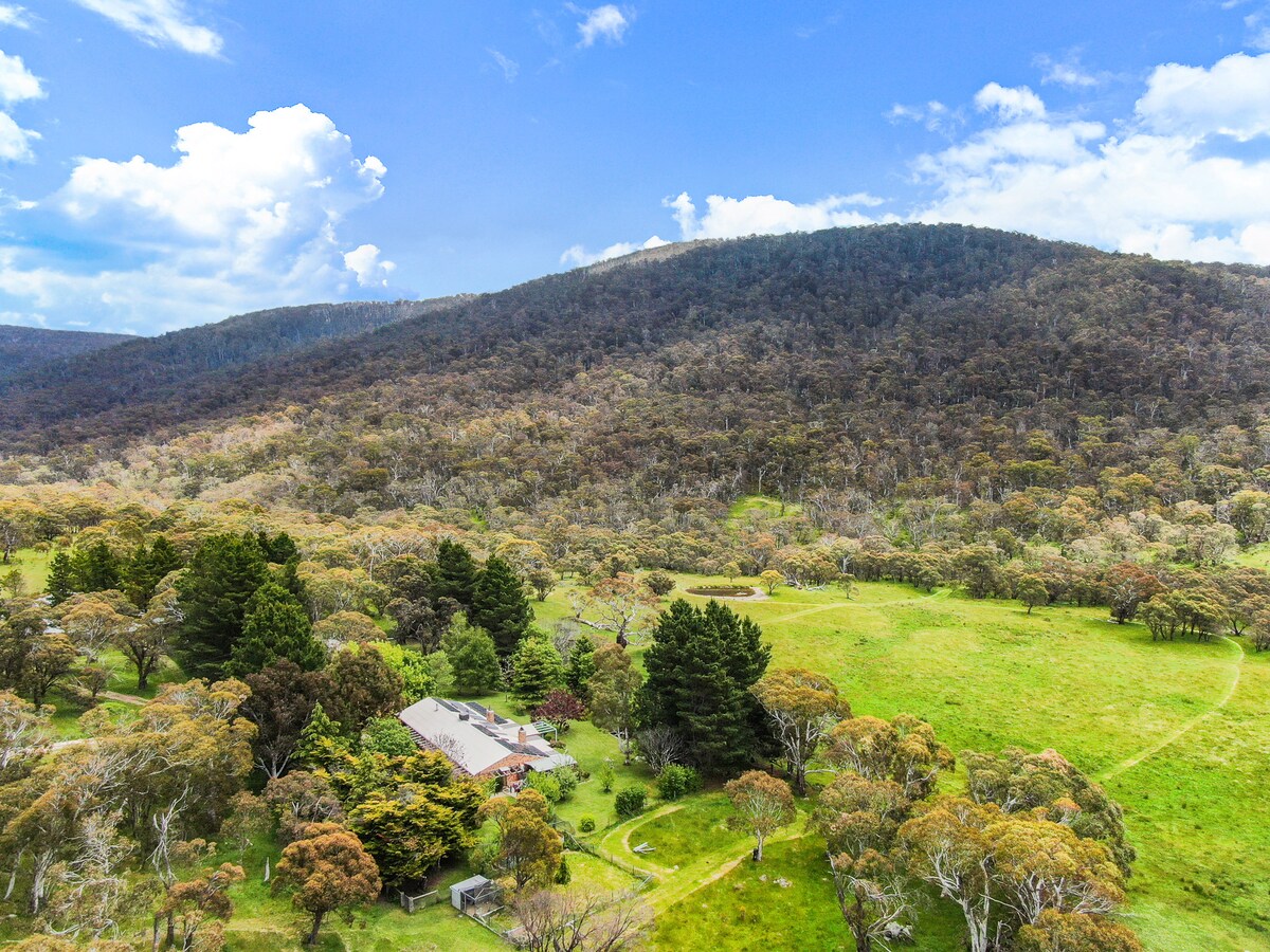 Big Yard Farm - Snowy Mountains