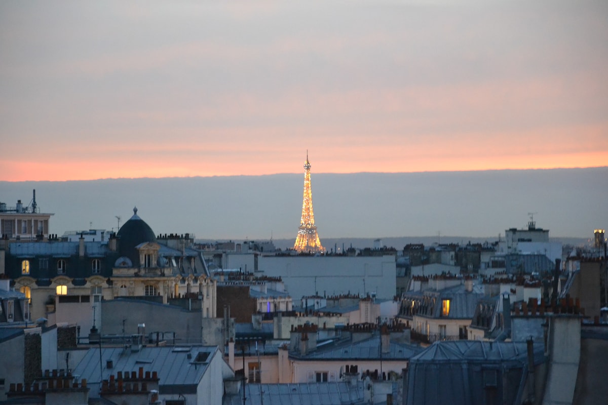 巴黎屋顶的壮丽景色