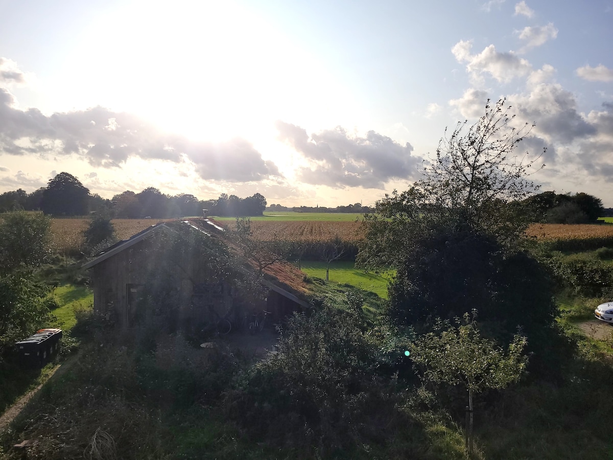 Houten eco-huisje aan de ijsseldijk